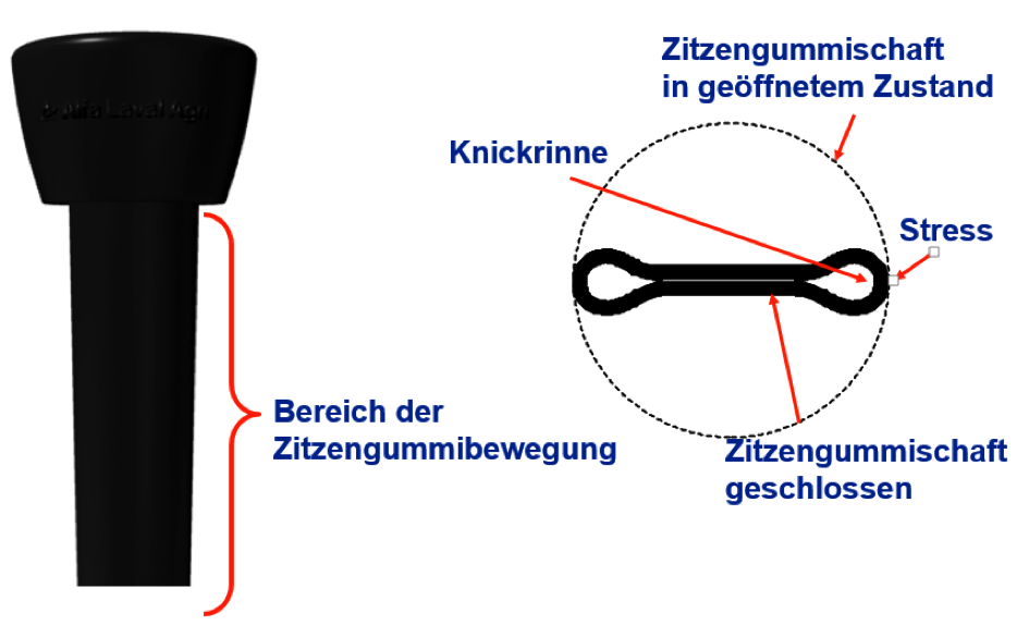 Abb. 2:	Zitzengummibewegung – der Zitzengummi schließt immer an derselben Stelle!  Dadurch ergeben sich im Zitzengummischaft klar abgegrenzte Bereiche mit starker und geringer Materialbeanspruchung.* SCHLAIß